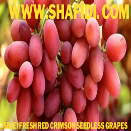 FRESH RED CRIMSON SEEDLESS GRAPES